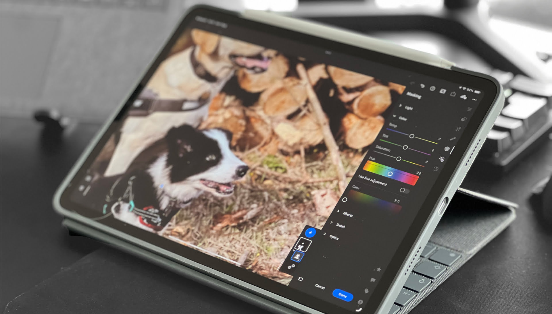 Photo editing of dogs using photoshop for iPad